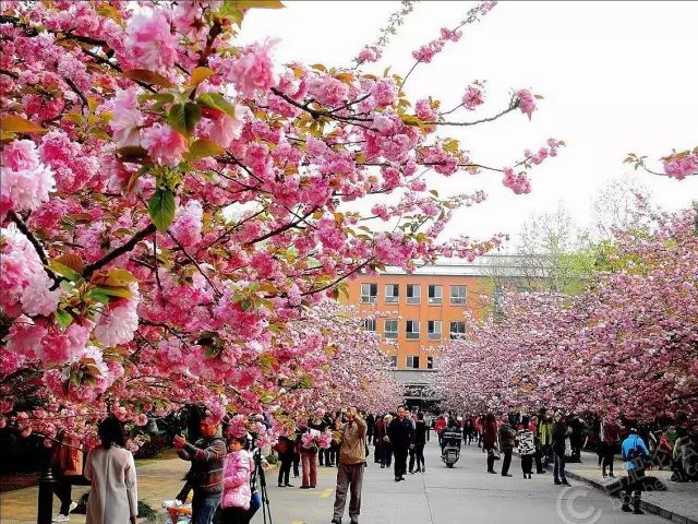 2024年【名校大学】申请条件/费用