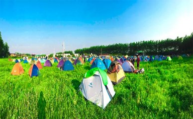2024年【会计师】申请条件/费用/