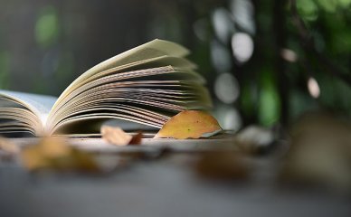 我们精心整理了这份珠海成人专升本星空