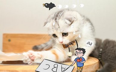 星空web版登录入口新人权益星空we