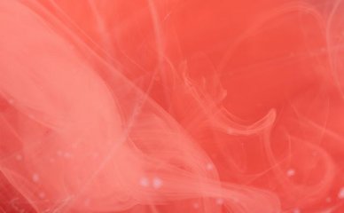 2024年【雅思】申请条件/费用/专
