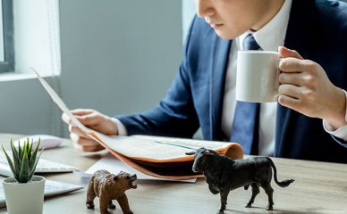 2024年【专升本】申请条件/费用/