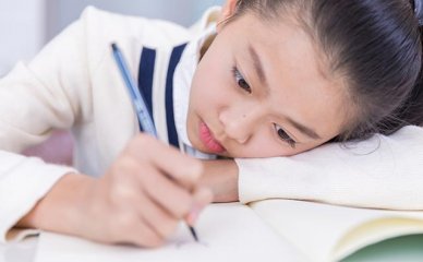 会计师 对照阅读
