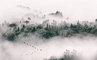 学历提升已成为许多人追求职业发展和个