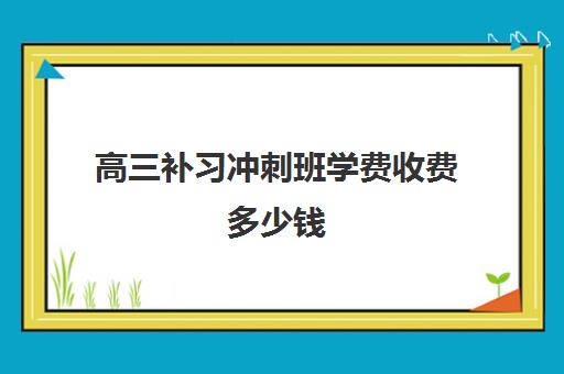 2024年【高考】申请条件/费用/专