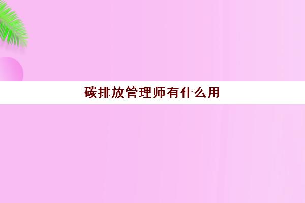 每年的通过率高吗