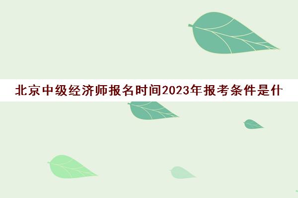 会计师 对照阅读