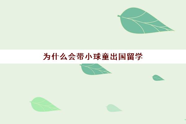 留学中介怎么赚钱