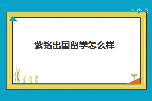雅思费用是多少